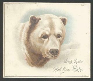 M17 - Polar Bear - Helena Maguire - Raphael Tuck - Victorian Year Card