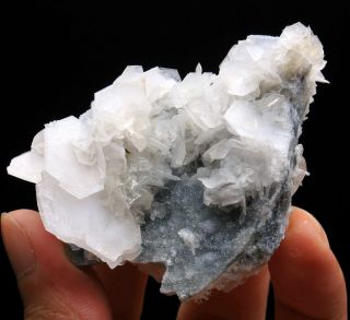 71g Rare Beauty White Fish Scaly Fluorescence Calcite Mineral Specimen /china23